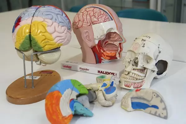 Medicalia 2014 w Toruniu 